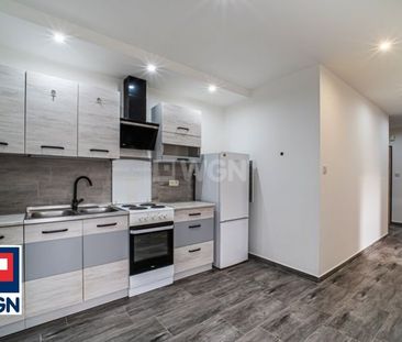 Mieszkanie w budynku mieszkalnym na wynajem Bolesławiec - Photo 4