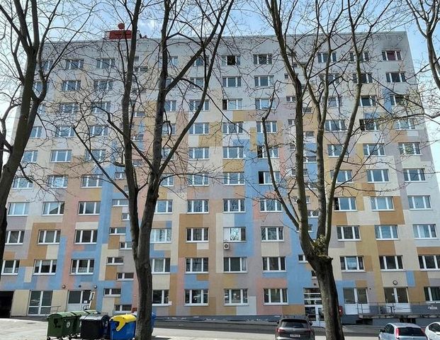 Wohnen im Stadtzentrum (719) - Photo 1