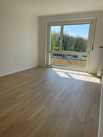 Bright 2.5-room apartment on 1st floor completely renovated in 2024 - Foto 4