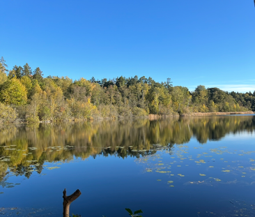 Gubbkärrsvägen, Bromma - Photo 1