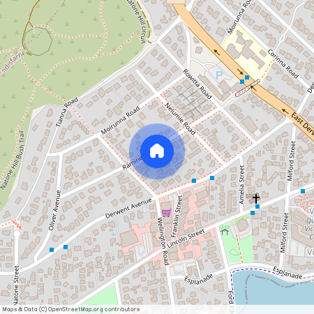 15 Raminea Road, Tas 7015, Lindisfarne