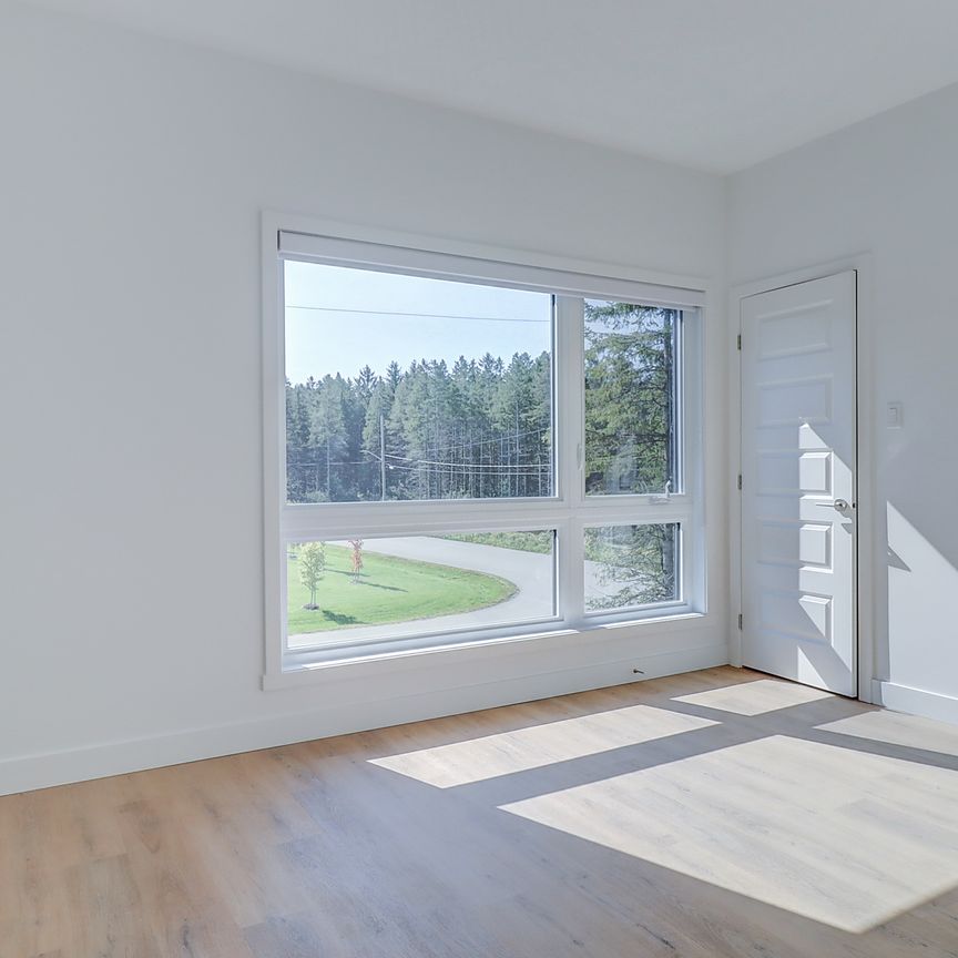 1597, rue du Calypso, Magog - Photo 1