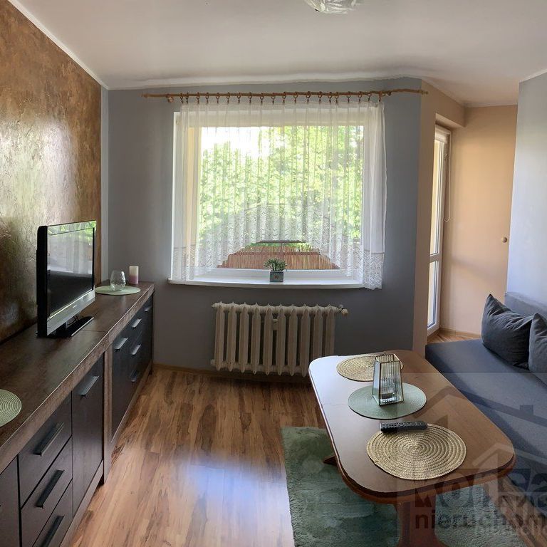 Do wynajęcia, Bukowe, śliczne dwa pokoje, 32,60m2 - Фото 1