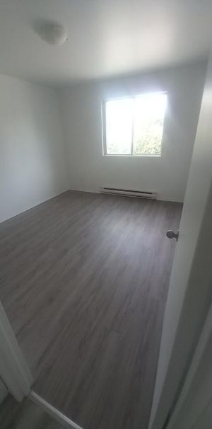 Laval-Des-Rapides, Grand 4 1/2 a louer - Photo 1