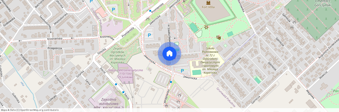 ul. Izaaka Newtona, os. Mikołaja Kopernika, Grunwald, Poznań, wielkopolskie