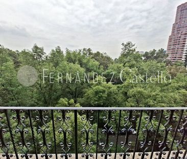 RENTA DE DEPARTAMENTO EN POLANCO - Photo 3