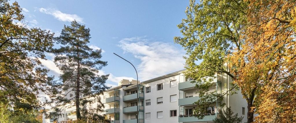Gemütliche Wohnung in Birsfelden gesucht? - Photo 1