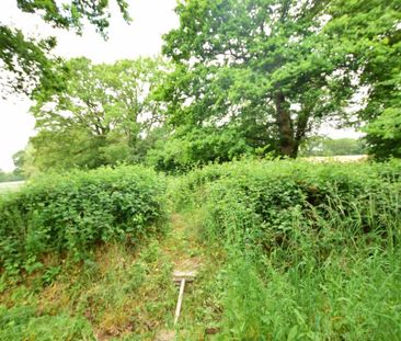 1 bedroom ground floor flat to rent - Photo 2
