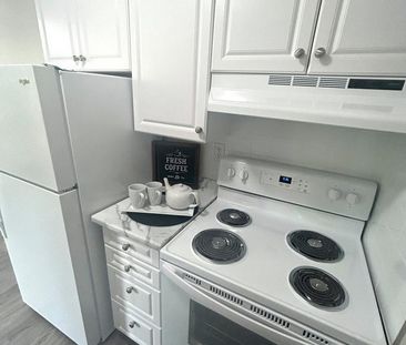 Tillson Apts 2 - ALL INCLUSIVE - Photo 4