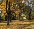 mazowieckie, Warszawa, Bielany, Lisowska - Фото 3