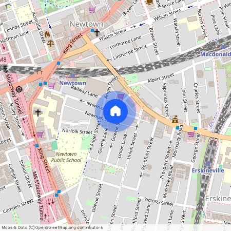 21 Gowrie Street, NSW 2042, Newtown