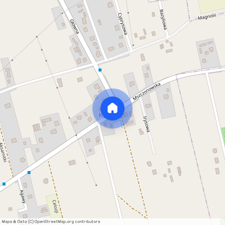 Grodziski, Żabia, Wola, Kaleń