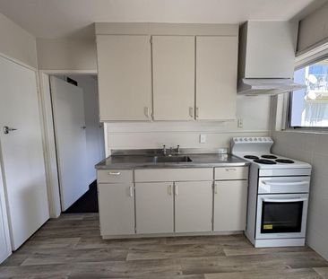 Tidy Flat in Hamilton East - Photo 5