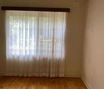 20 Jenkins Street - Photo 4