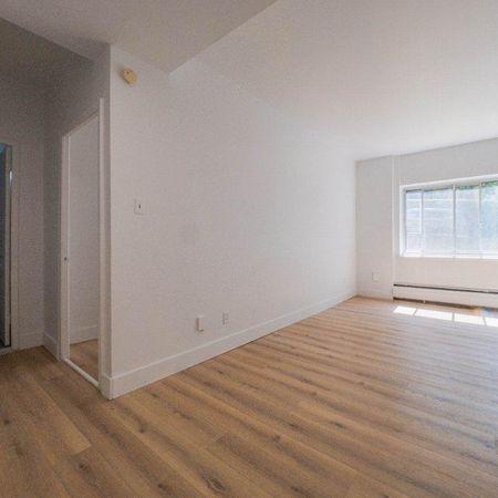 1 MOIS GRATUIT - 3 1/2 & 4 1/2 près de UdeM, HEC, Hopital Juif… appartement / logement à louer Montreal Côte-des-Neiges - Photo 4