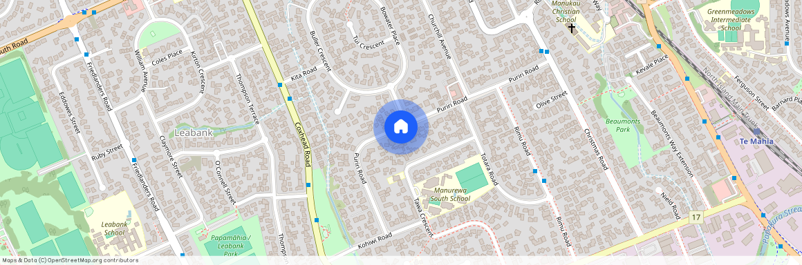 29 Puriri Road, Manurewa