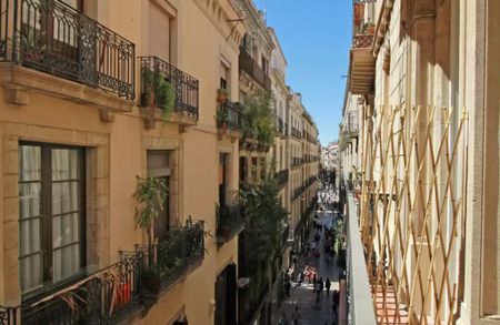 Carrer de la Portaferrissa, Barcelona, Catalonia 08002 - Photo 4