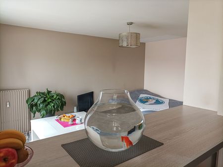 Location Appartement 1 pièce 31m² HEROUVILLE ST CLAIR 14200 - Photo 5