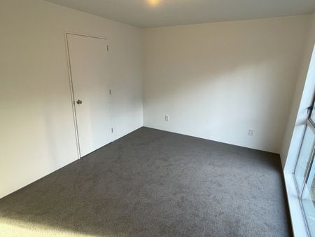 113B York Place, Dunedin Central, Dunedin City - Photo 4