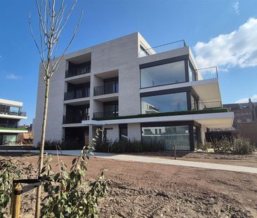 In optie - Appartement te huur in Arendonk met 1 slaapkamer - Foto 3