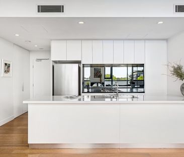 402/66 Atchison Street, Crows Nest NSW 2065 - Apartment For Rent | ... - Photo 2
