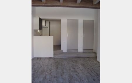 Location Appartement P1 Mezzanine Meze - Photo 4