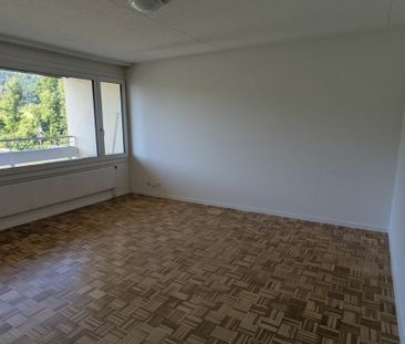 Grosszügige 1.5-Zimmerwohnung mit herrlicher Aussicht - Photo 4
