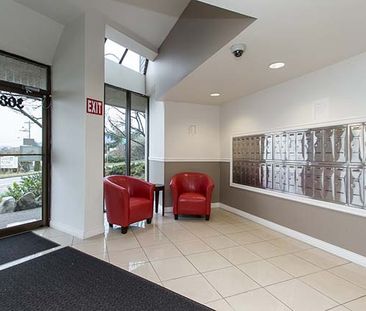 Harbourview Terrace Apartments - Bachelor - Photo 5