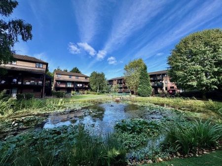 Alderney Street, Nottingham, NG7 - Photo 5