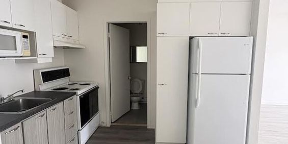 2 1/2 à Louer Limoilou - Photo 3