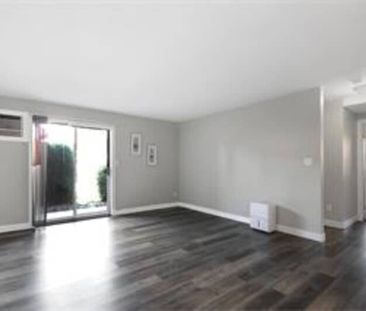 2 Bed, 2 Bath Lower Mission - Photo 3