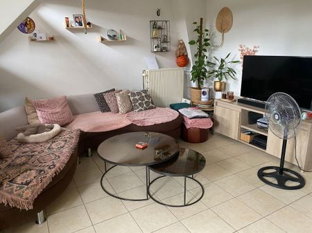 Appartement te huur in Dendermonde - Photo 3