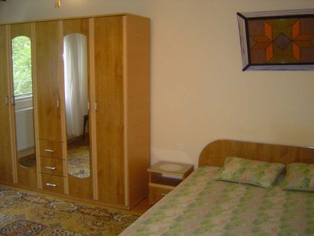 Brancoveanu luica izvorul oltului - Photo 3