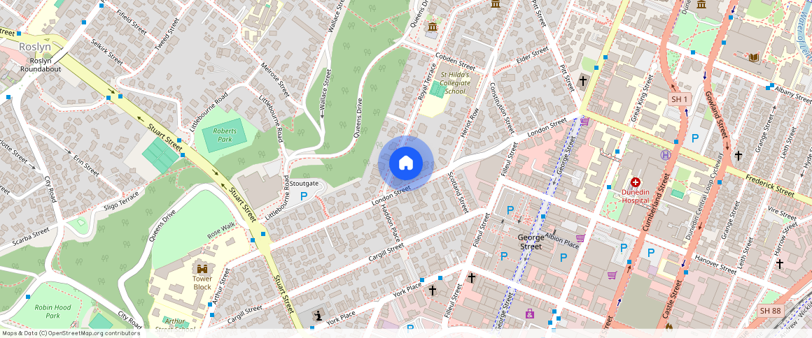 3d Royal Terrace, Dunedin Central