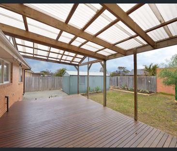 Family Home - beautiful outdoor area ready for summer! - Photo 6