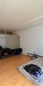 Spacious one bedroom unit on East Pender street Near Commercial Drive - Photo 4