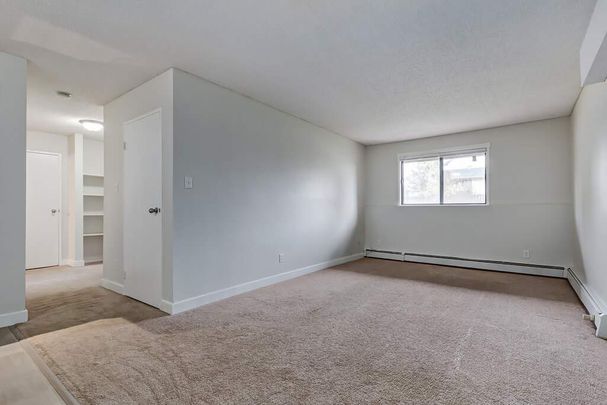 1 Bedroom - Photo 1