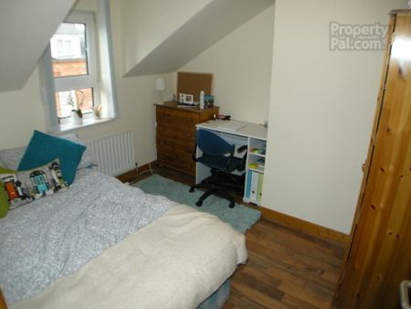 59 Cromwell Road, Botanic, Belfast, BT7 1JY - Photo 5