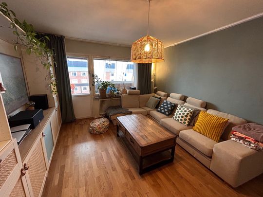 Klippgatan, Solna - Photo 1