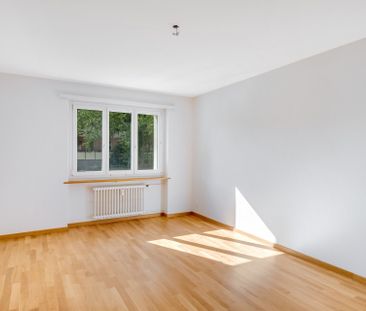 A gem! Beautiful apartment in a quiet location - Foto 3