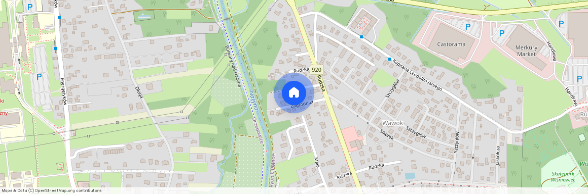 ul. Rudzka, Rybnik-Północ, Rybnik, śląskie