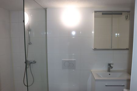 Luminous 5.5-room apartment with large terrace in Derendingen - Photo 3