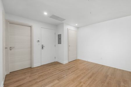 Condo for rent, Montréal (Le Plateau-Mont-Royal) - Photo 2