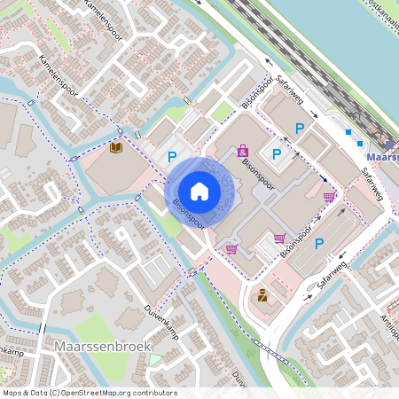 Bisonspoor 1161--24, 3605KV Maarssen