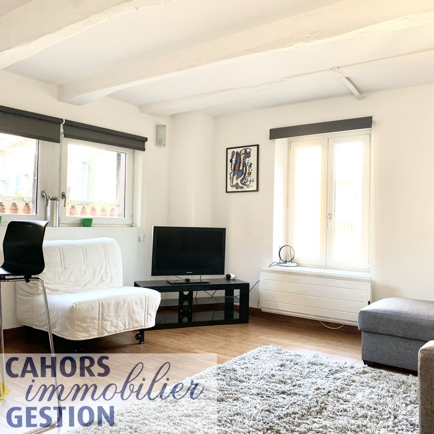 Location Appartement 1 pièce 25m² CAHORS 46000 - Photo 1
