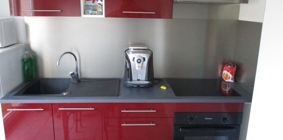 Location Appartement 1 pièce 31m² ROANNE 42300 - Photo 2