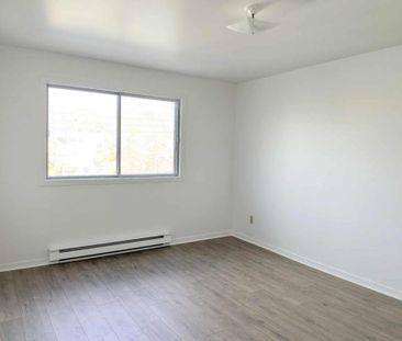 7243 Rue D'Iberville, H2E 2Y7, H2E 2Y7, Montréal - Photo 6