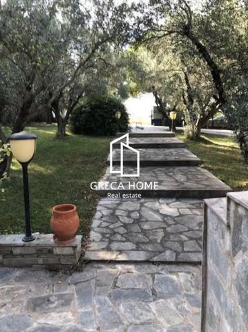 Μονοκατοικία για ενοικίαση Πλαγιάρι (Μίκρα) - Photo 2