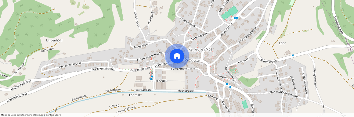 4206, Seewen SO, Dorfstrasse, 14