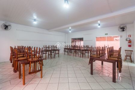 Apartamento com 1 quarto e 31m² para alugar em Vila Nova, Porto Alegre. - Foto 3